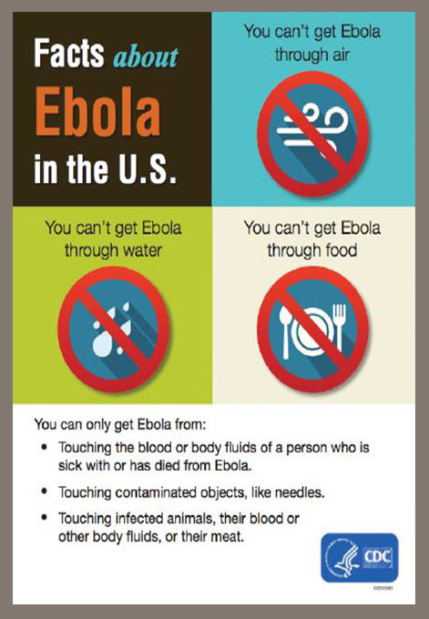 Facts about Ebola in the U.S.: You can't get Ebola through air. You can't get Ebola through water. You can't get Ebola through food. You can only get Ebola from: Touching the blood or body fluids of a person who is sick with or has died from Ebola. Touching contaminated objects, like needles. Touching infected animals, their blood or other body fluids, or their meat. 